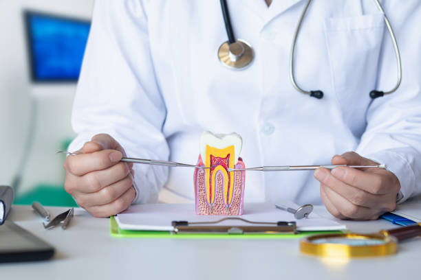 Best Emergency Orthodontic Repairs in Russellville, AL